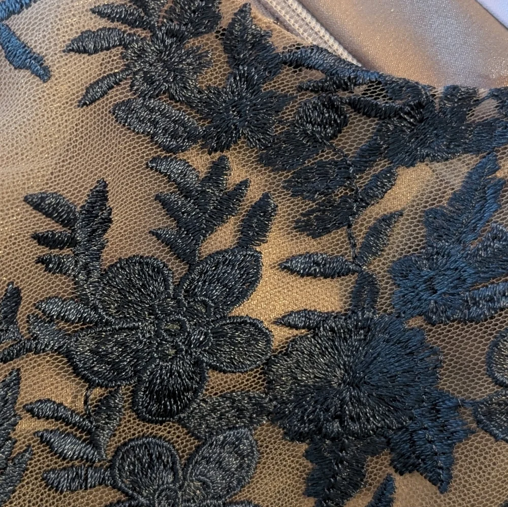 JS Collections Blush Pink and Navy Embroidered Lace Evening Gown - Picture 9 of 10